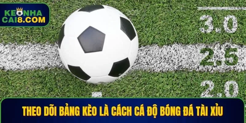 Theo dõi bảng kèo là cách cá độ bóng đá tài xỉu