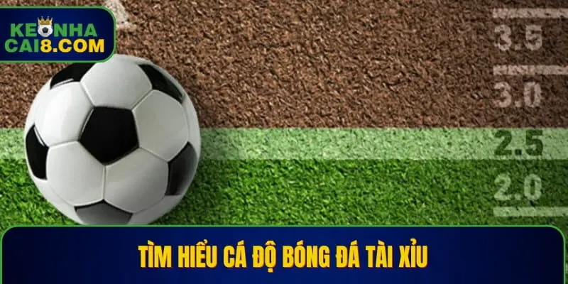 Tìm hiểu cá độ bóng đá tài xỉu