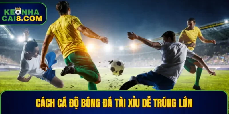 Cách cá độ bóng đá tài xỉu dễ trúng lớn