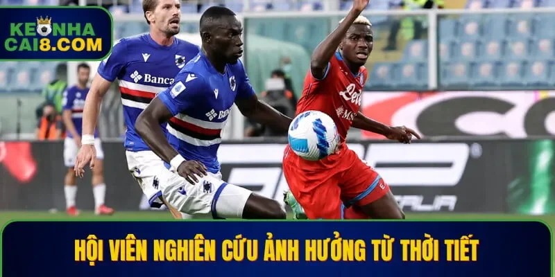 Hội viên nghiên cứu ảnh hưởng từ thời tiết