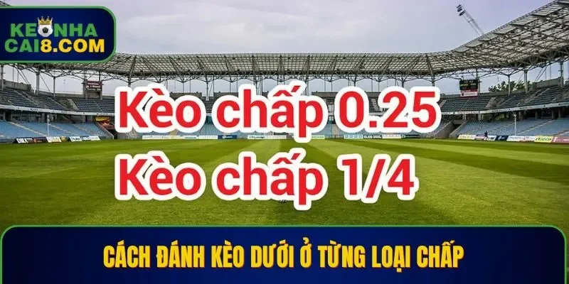 Cách đánh kèo dưới cho từng tỷ lệ chấp