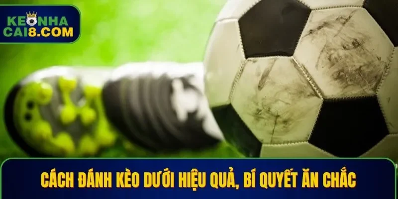 Cách Đánh Kèo Dưới Hiệu Quả, Bí Quyết Ăn Chắc Cho Tân Thủ