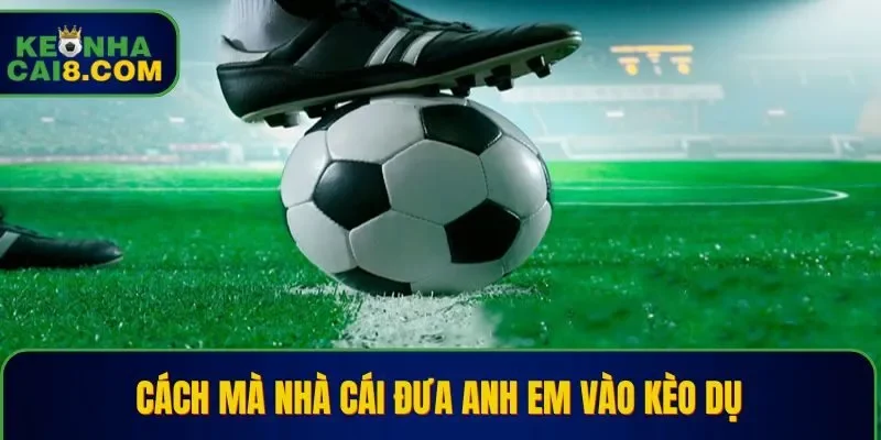 Các dấu hiệu mà nhà cái đưa bet thủ vào kèo dụ