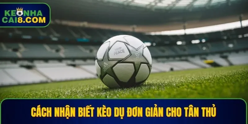 Chi tiết các cách nhận biết kèo dụ