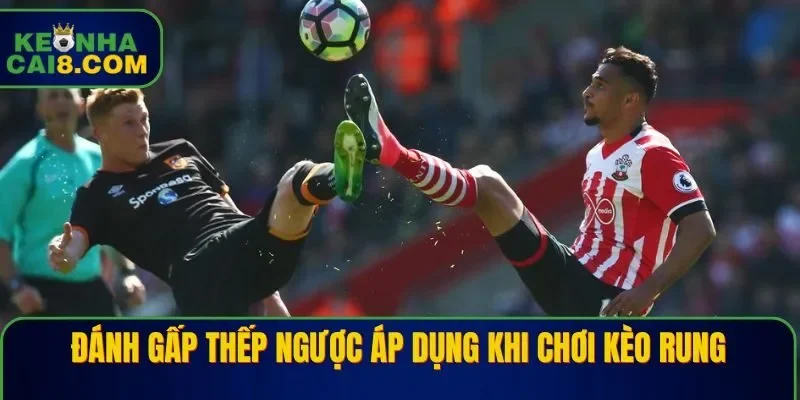 Đánh gấp thếp ngược áp dụng khi chơi kèo rung