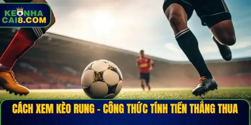 Cách xem kèo rung - Công thức tính tiền thắng thua