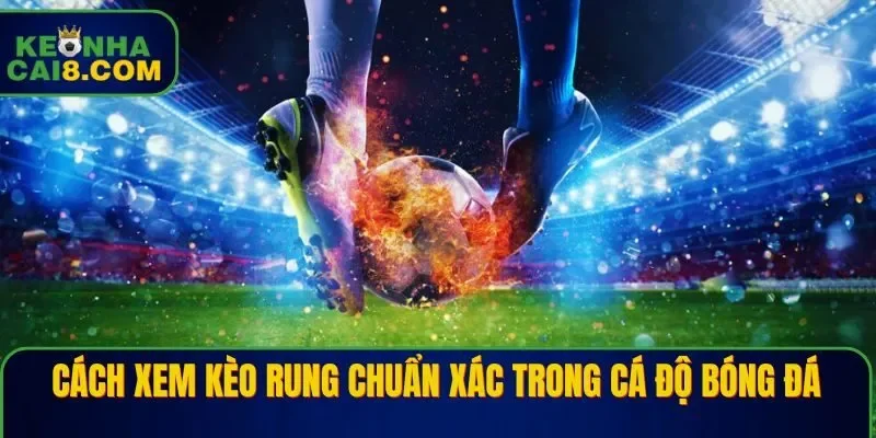 Cách Xem Kèo Rung Chuẩn Xác Trong Cá Độ Bóng Đá