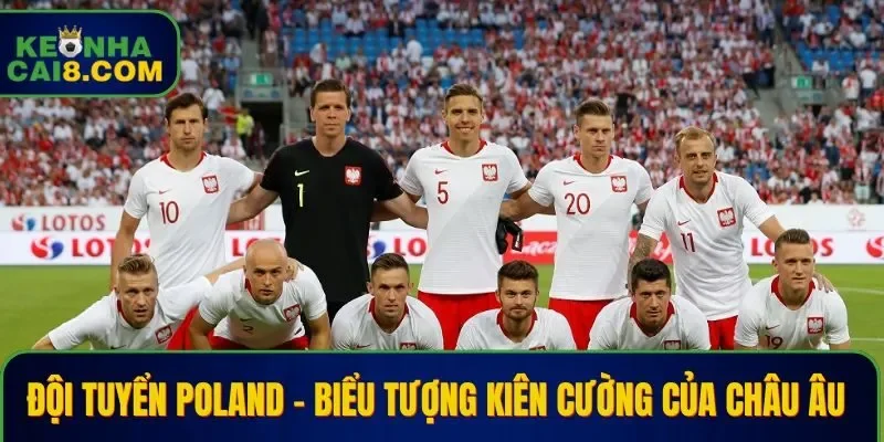 Đội Tuyển Poland – Biểu Tượng Kiên Cường Của Châu Âu 
