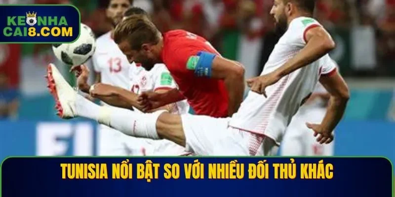 Thành tích nổi bật mà đội tuyển Tunisia đã ghi được