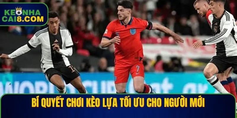 Bí quyết chơi kèo lựa tối ưu cho người mới