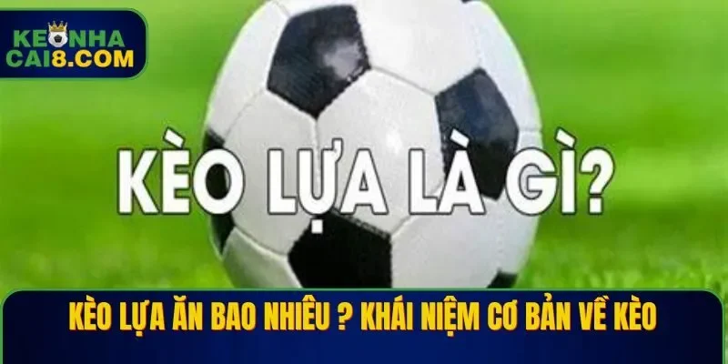Kèo lựa ăn bao nhiêu ? Khái niệm cơ bản về kèo