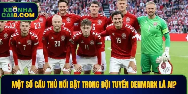 Một số cầu thủ nổi bật trong đội tuyển Denmark là ai?