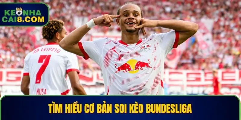 Tìm hiểu cơ bản soi kèo Bundesliga