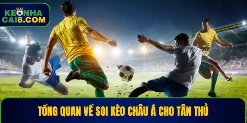 Đôi điều về soi kèo châu Á cho tân thủ
