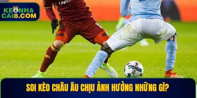 Khi soi kèo hội viên cần nắm rõ những thông tin nào