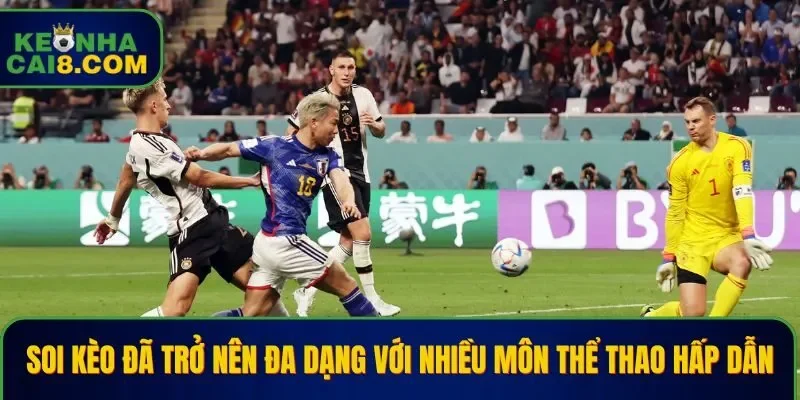 Soi kèo đã trở nên đa dạng với nhiều môn thể thao hấp dẫn