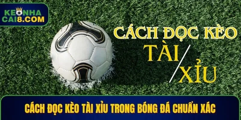 Cách đọc kèo tài xỉu trong bóng đá chuẩn xác