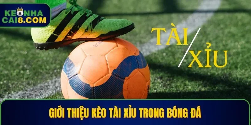 Giới thiệu kèo tài xỉu trong bóng đá