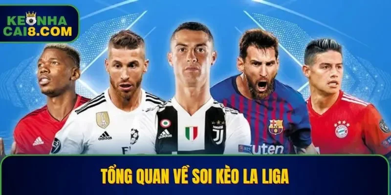 Chuyên mục luôn sôi động trong 8 tháng của mùa giải